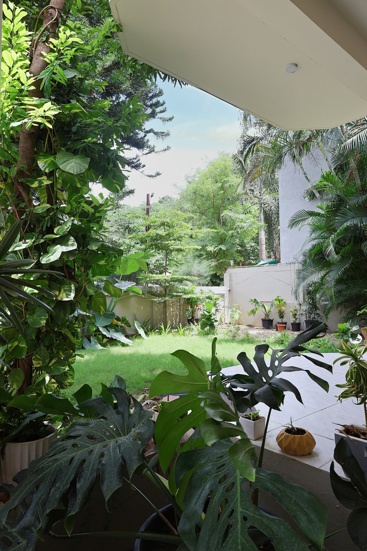 The House of Evara Indore