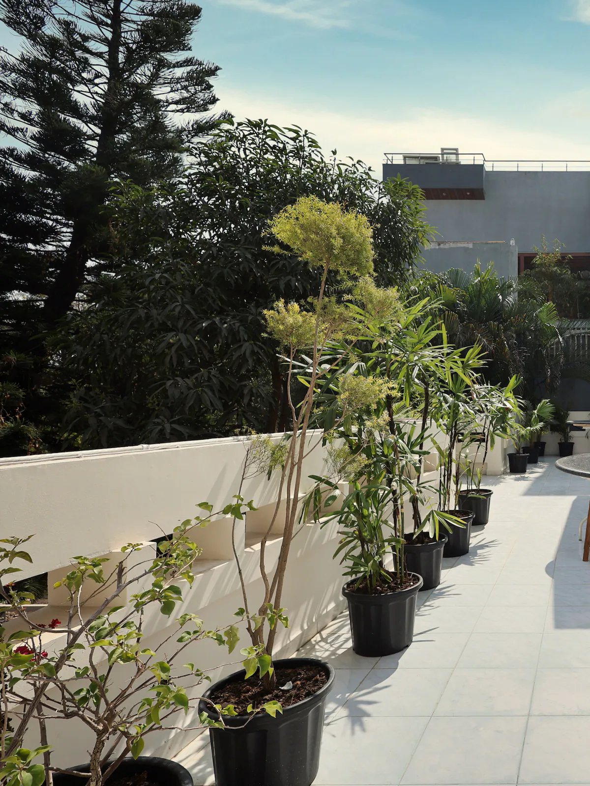 The House of Evara Indore