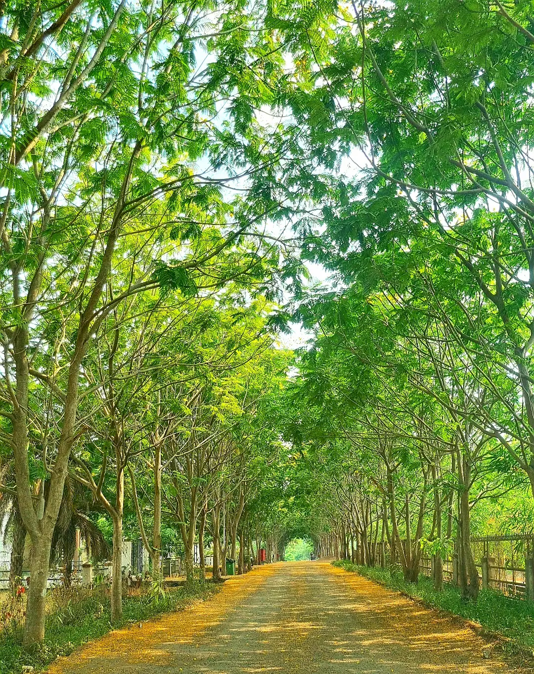Casa Solis Karjat