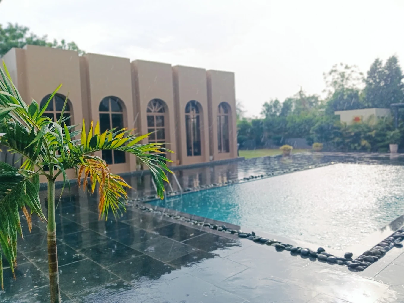 Aesthetic White Farm Jaipur