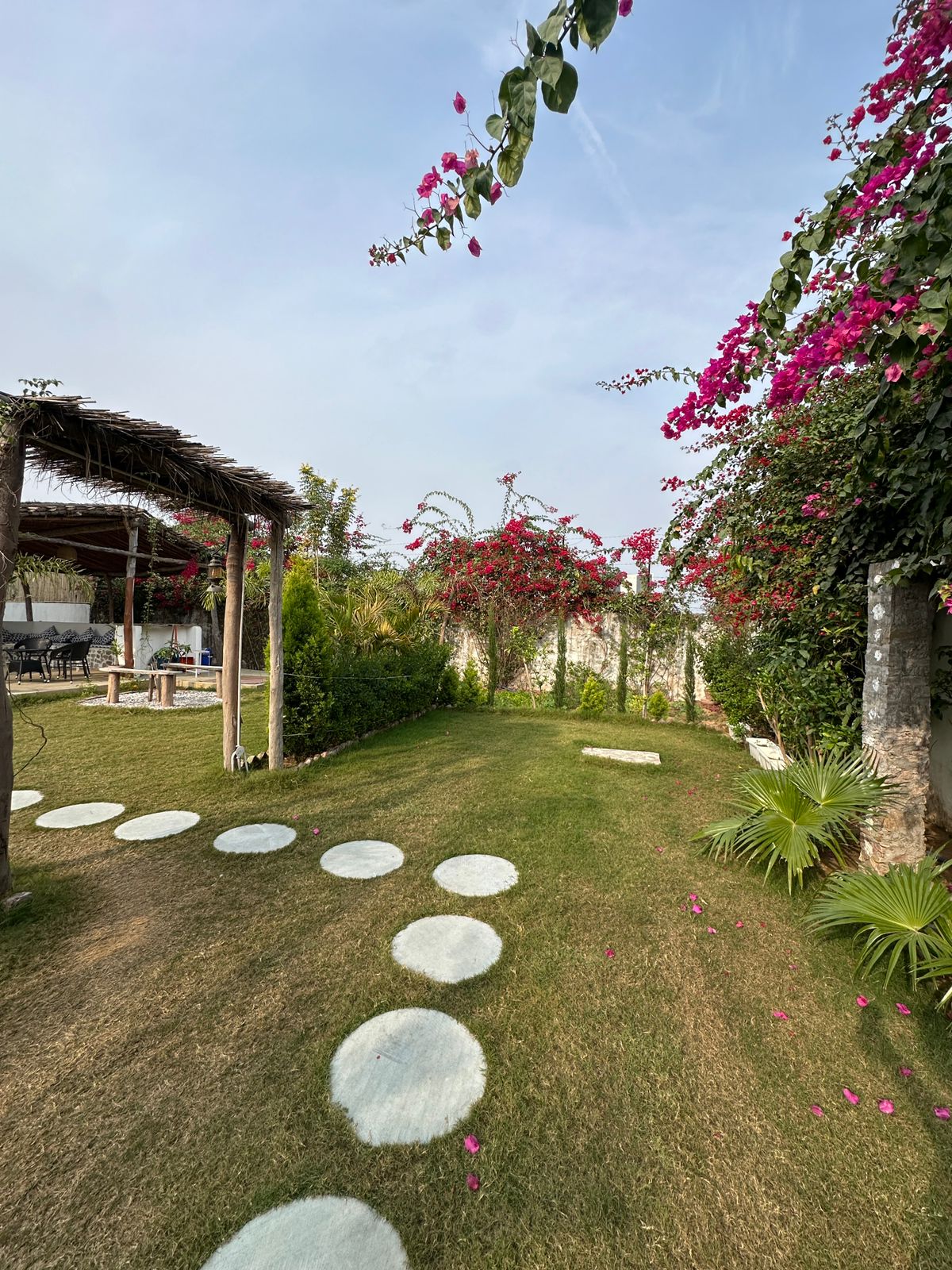 Nature Zen Den Jaipur