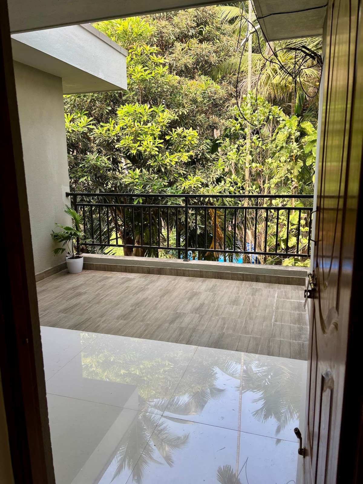 Mango Grove 8p Goa