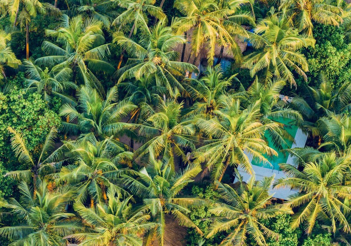 Tropical private estate by the sea