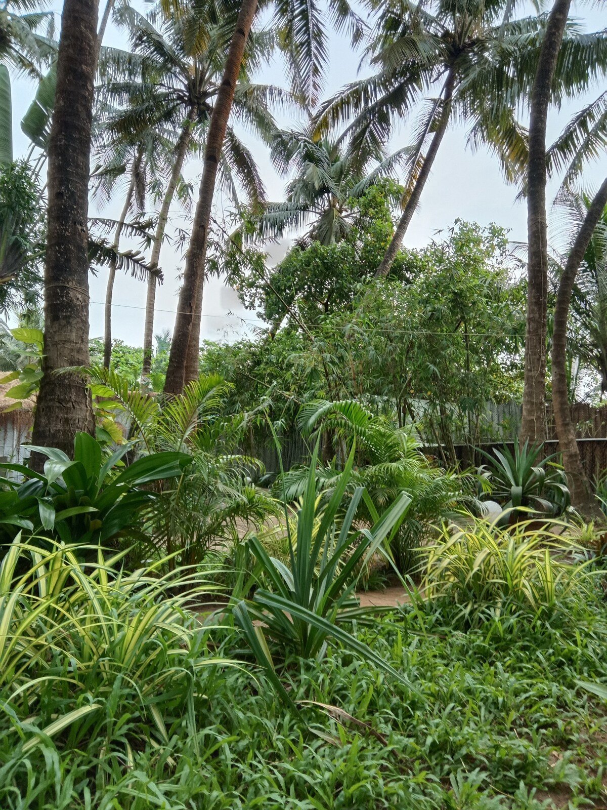 Tropical private estate by the sea