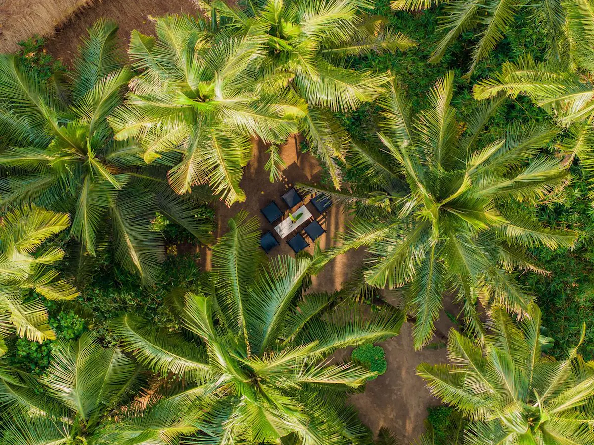 Tropical private estate by the sea