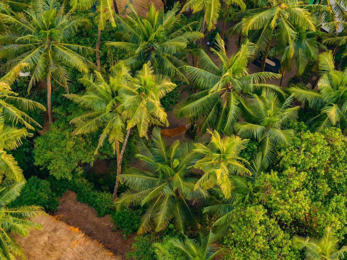 Tropical private estate by the sea